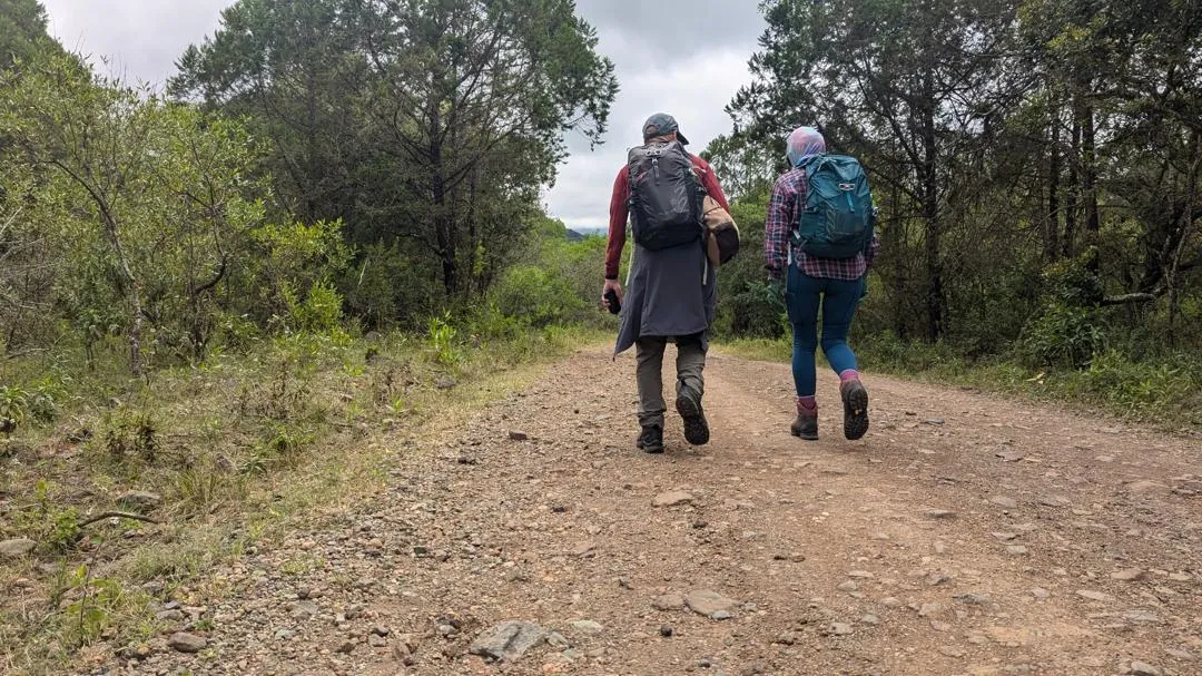 Trekkers beginning a forest trail below Mount Meru